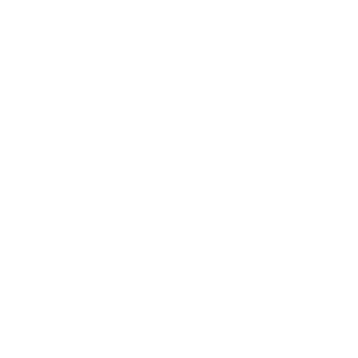 Top Speed (PAS)